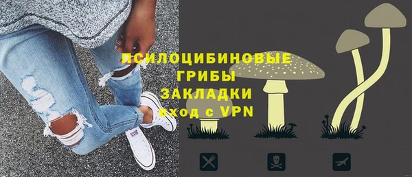 амф Дмитровск
